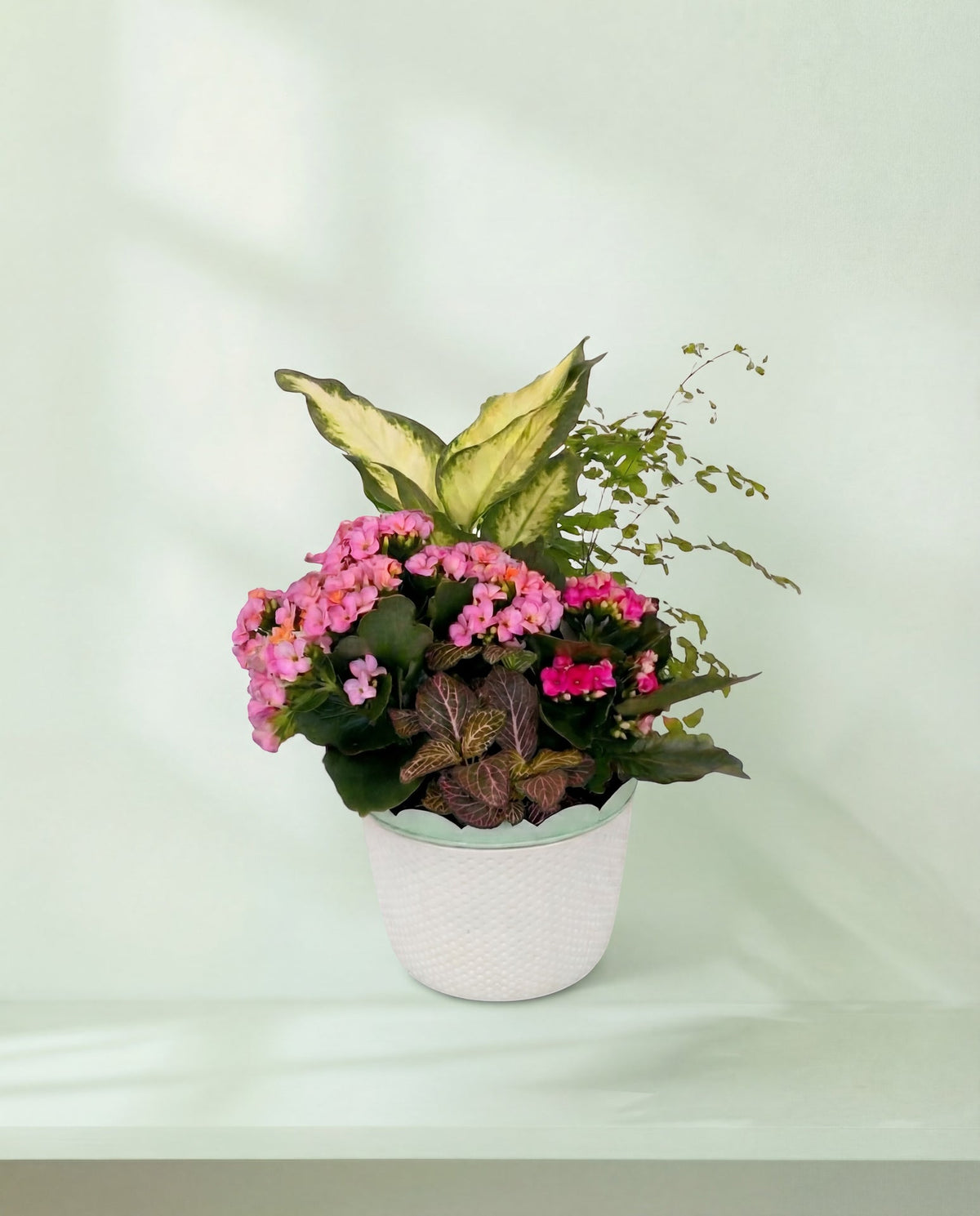 Little Garden