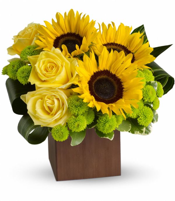 Flower Sunflower Bunches - Fantasy (T545-1A)