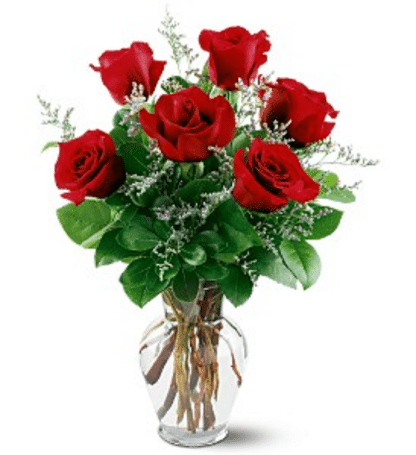 Red Rose Touch  (TEV12-6B)